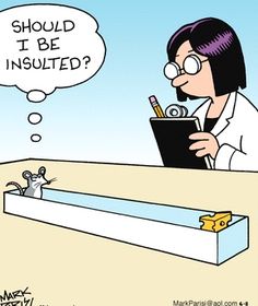 Mouse in one-line maze