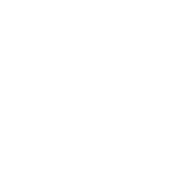 The Viking Ship Museum
